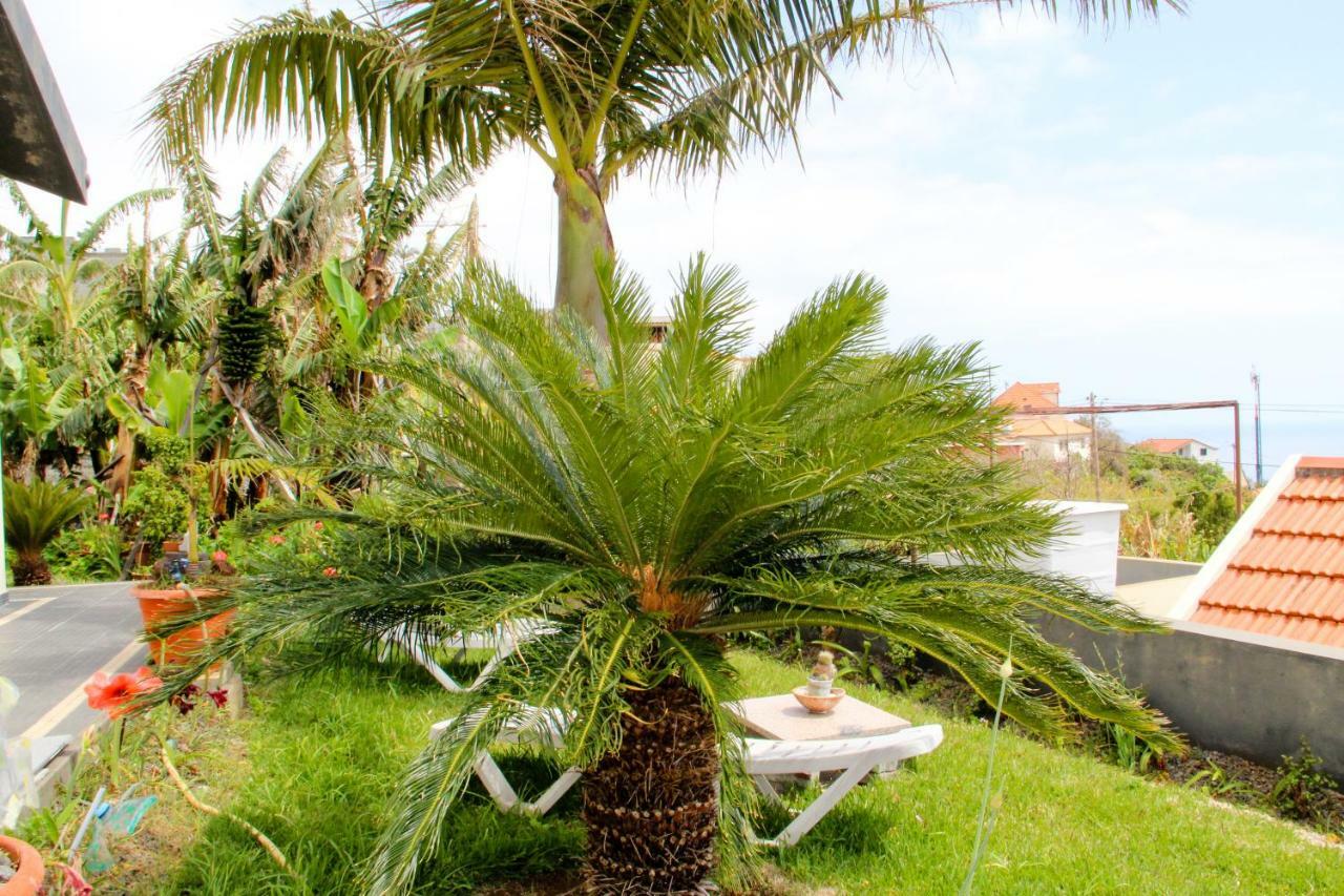 Apartament Casa Simao Calheta  Zewnętrze zdjęcie